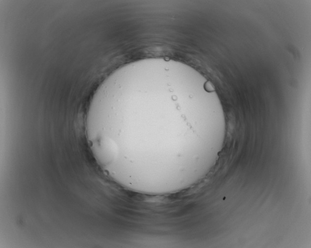 X0000114400659200910161316