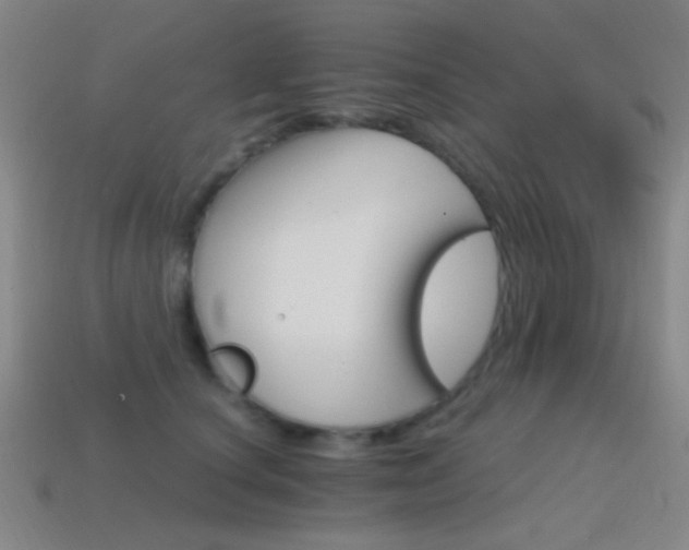 X0000114400660200910161316