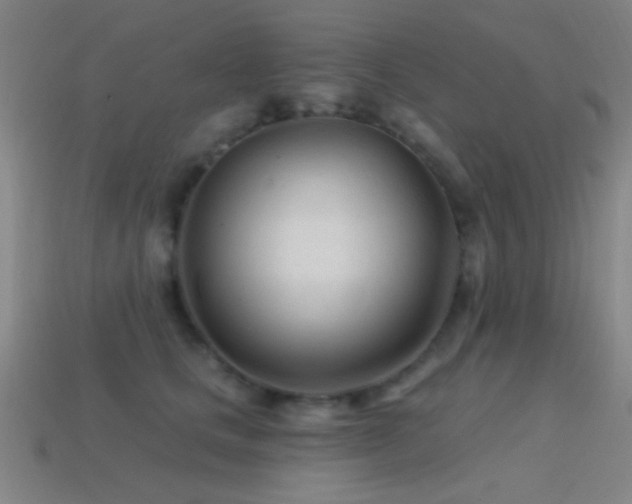 X0000114400661200910161316