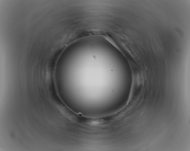 X0000114400662200910161316