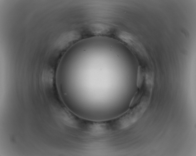 X0000114400664200910161316