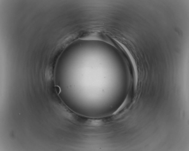 X0000114400665200910161316