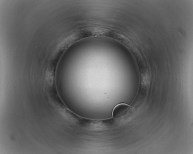 X0000114400666200910161316