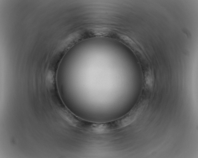 X0000114400667200910161316