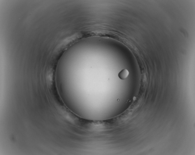 X0000114400668200910161316