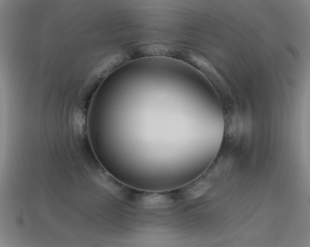 X0000114400669200910161316