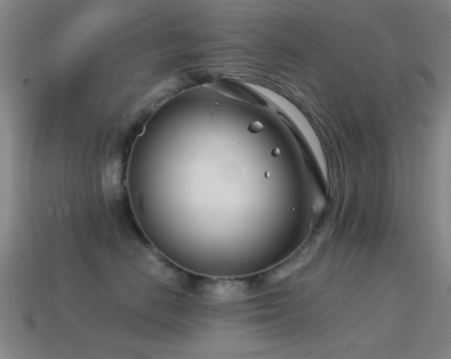 X0000114400670200910161316