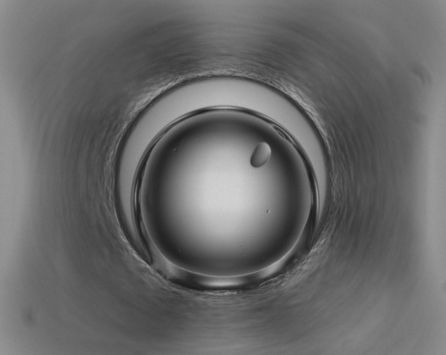 X0000114400673200910161316