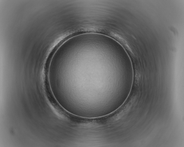 X0000114400674200910161316