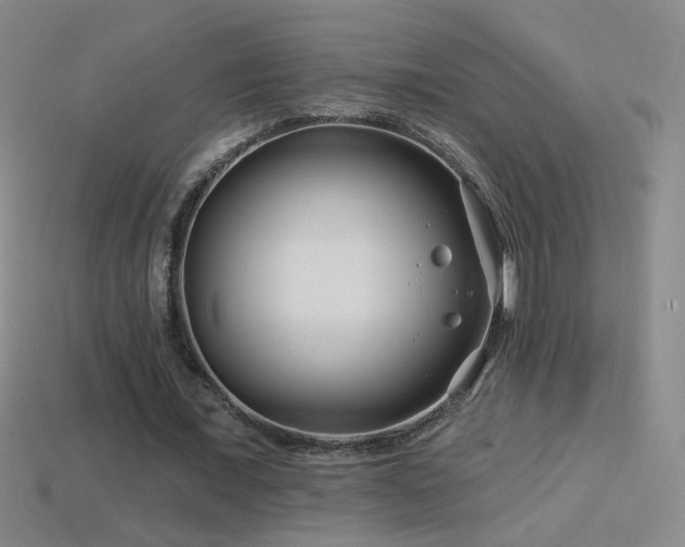 X0000114400675200910161316