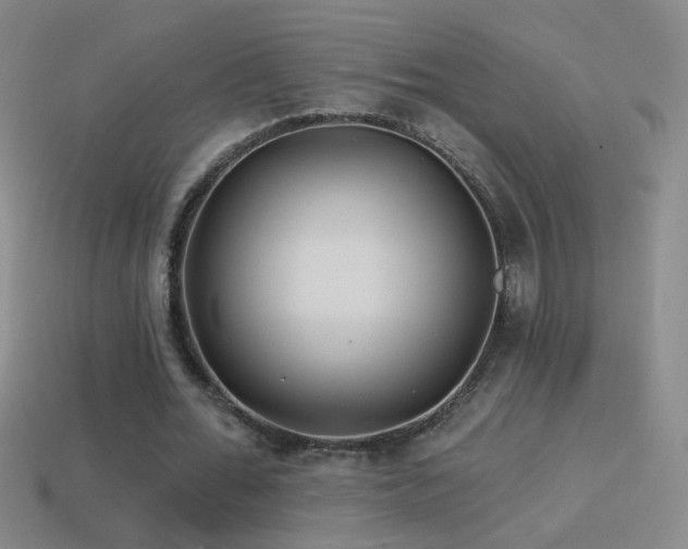 X0000114400676200910161316