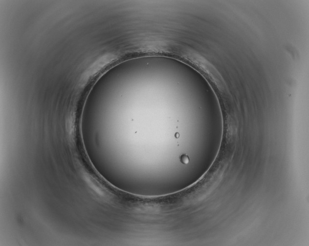 X0000114400677200910161316