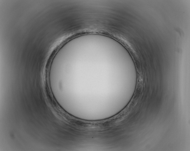 X0000114400678200910161316