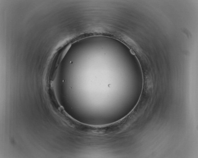 X0000114400680200910161316