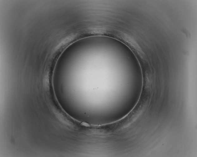 X0000114400681200910161315