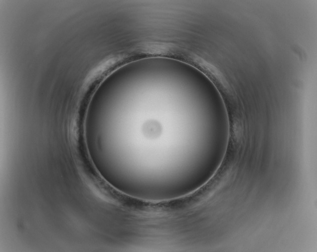 X0000114400682200910161315