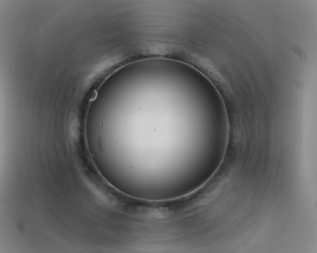 X0000114400683200910161315