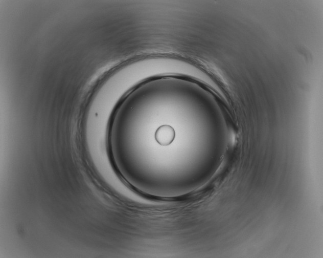 X0000114400684200910161315