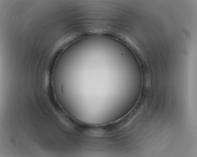 X0000114400685200910161315