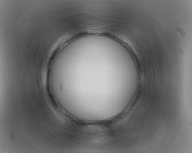 X0000114400686200910161315