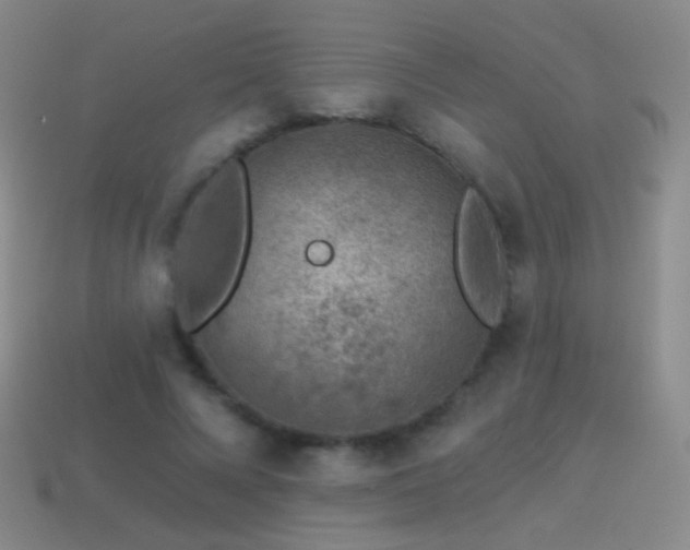 X0000114400688200910161315