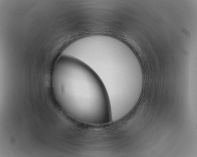 X0000114400689200910161315