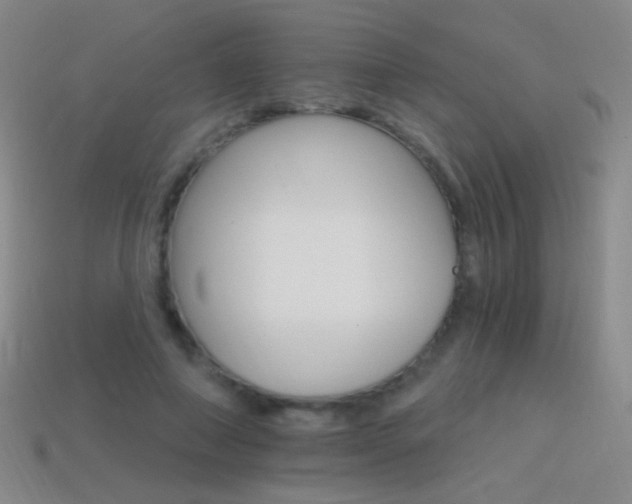 X0000114400690200910161315