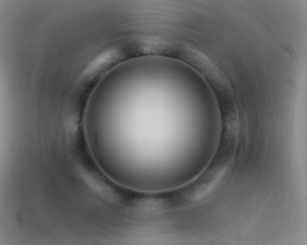 X0000114400691200910161315