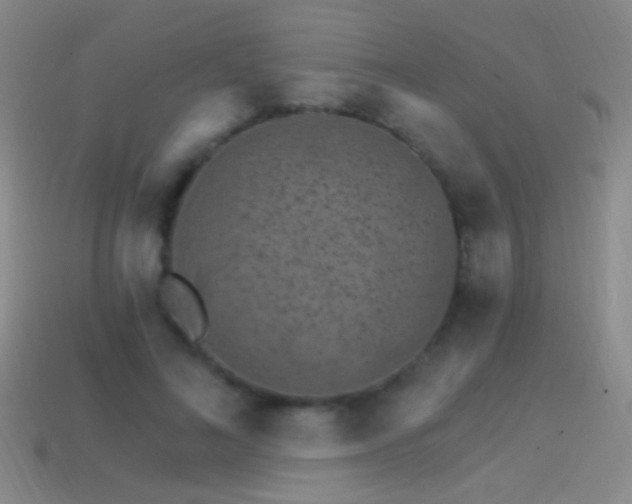 X0000114400692200910161315