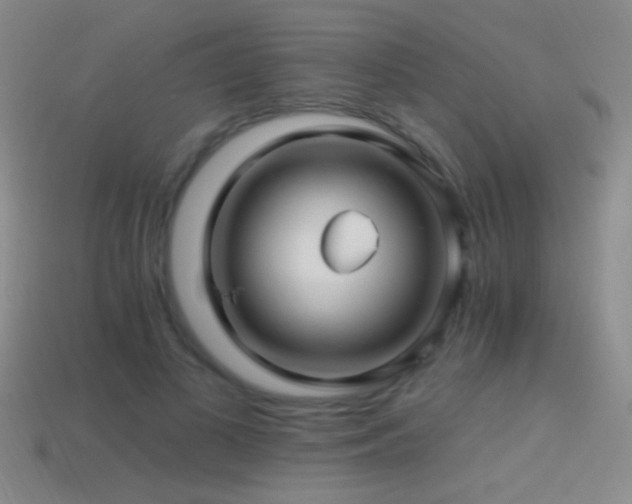 X0000114400693200910161315