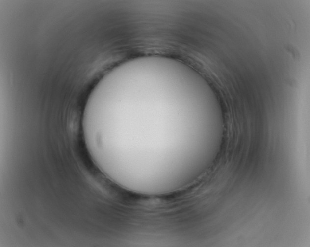 X0000114400695200910161315