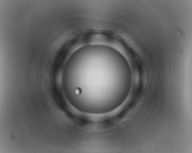 X0000114400696200910161315