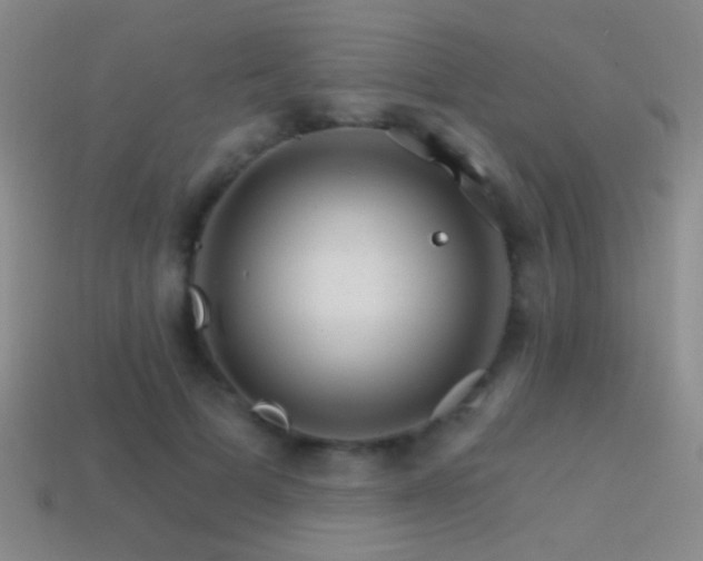 X0000114400697200910161315