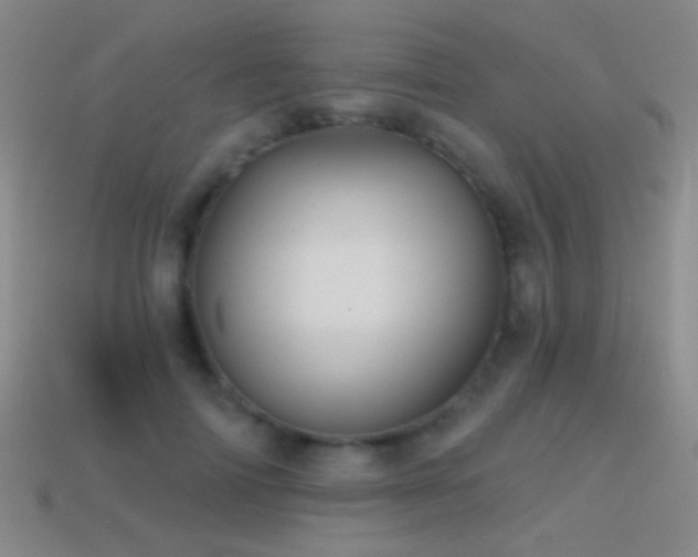 X0000114400698200910161315