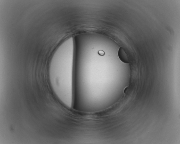 X0000114400700200910161315