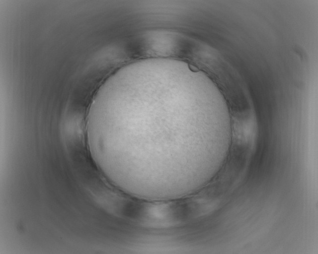 X0000114400701200910161315