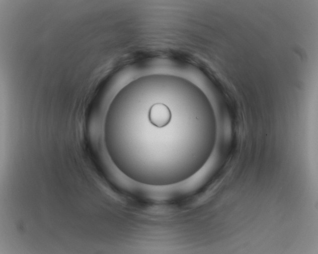 X0000114400705200910161315