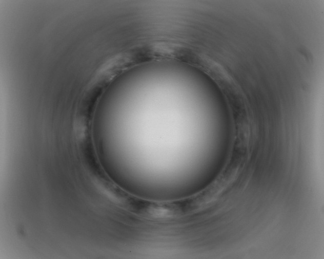 X0000114400706200910161315