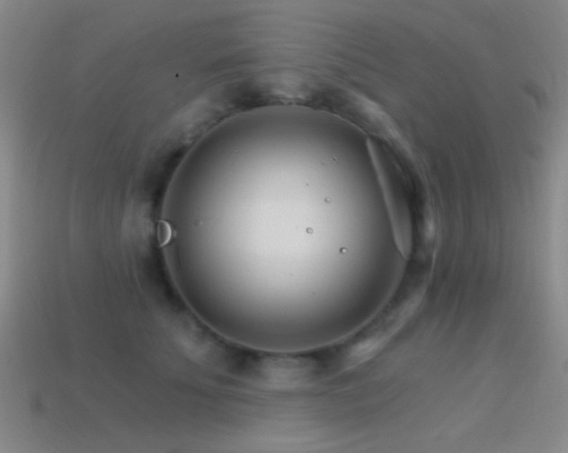 X0000114400707200910161315