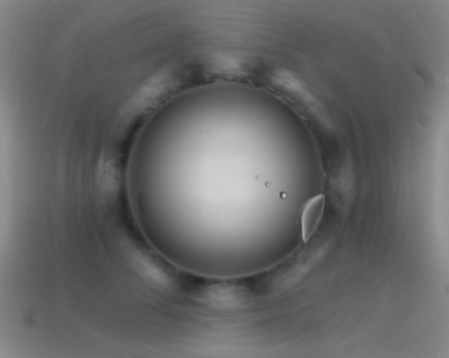 X0000114400708200910161315