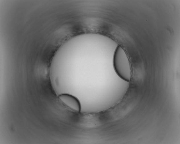 X0000114400709200910161315