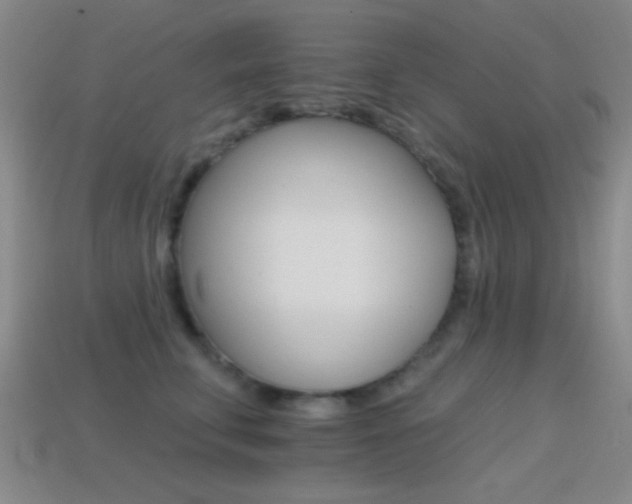 X0000114400711200910161315