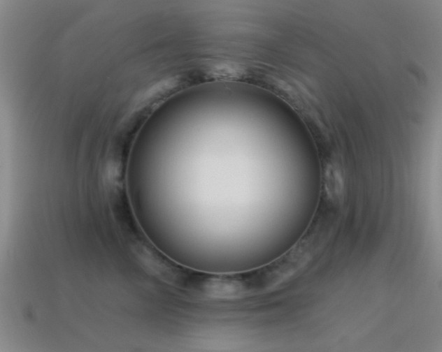 X0000114400714200910161315