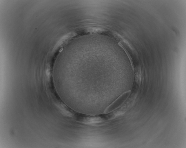 X0000114400716200910161315