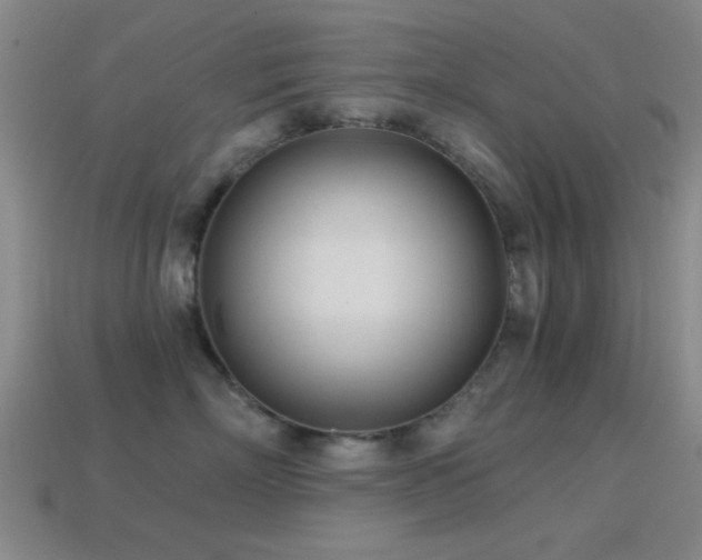 X0000114400718200910161315