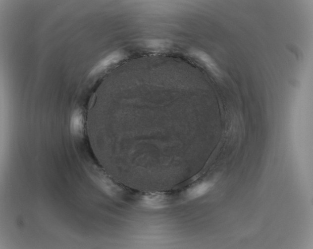 X0000114400720200910161315