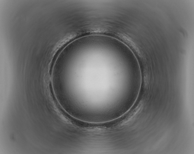 X0000114400721200910161314