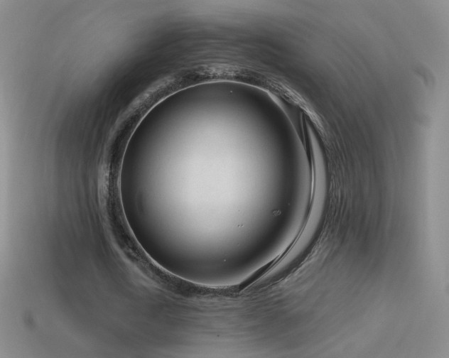 X0000114400722200910161314