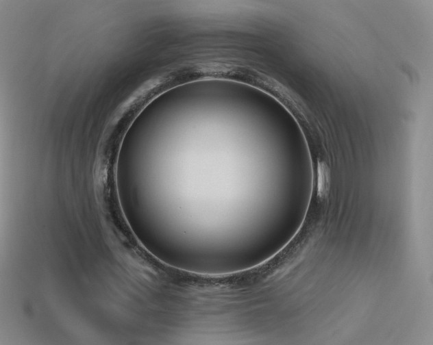 X0000114400723200910161314