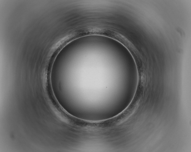 X0000114400725200910161314